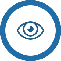 vision icon